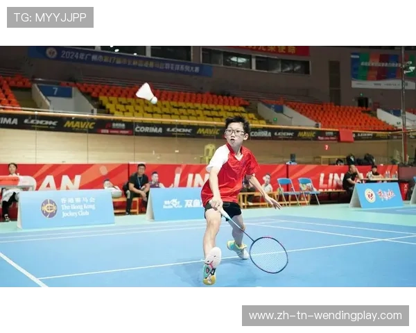 羽毛球几级选手