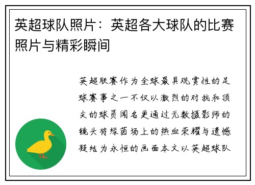 英超球队照片：英超各大球队的比赛照片与精彩瞬间